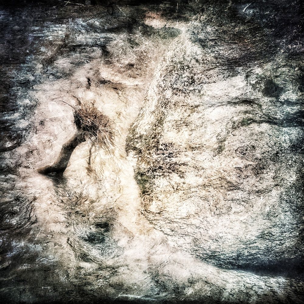 Photograph by Анна Берневик