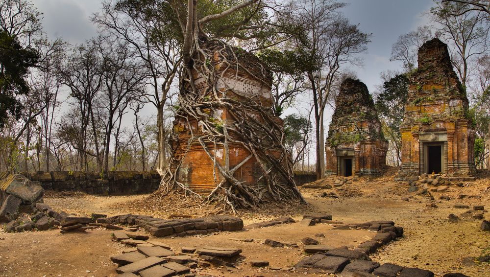 Photograph by Игорь Щербаков