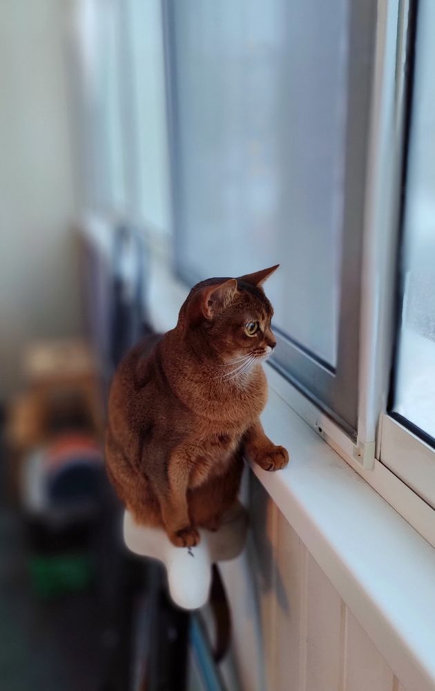 Photograph by Игорь Семеновский