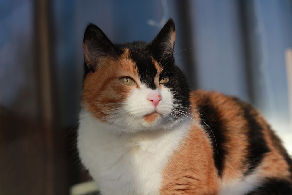 Photograph by Майя Терёшина