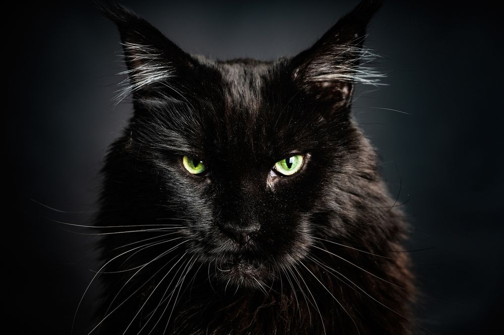 Photograph by Aleetet