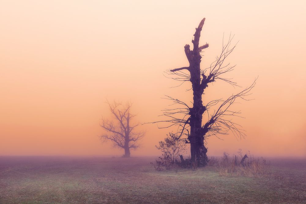 Photograph by Mariyana Atanasova - Lucero