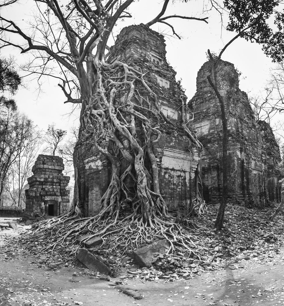 Photograph by Игорь Щербаков