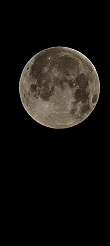 Фотография автора Наталья Законова