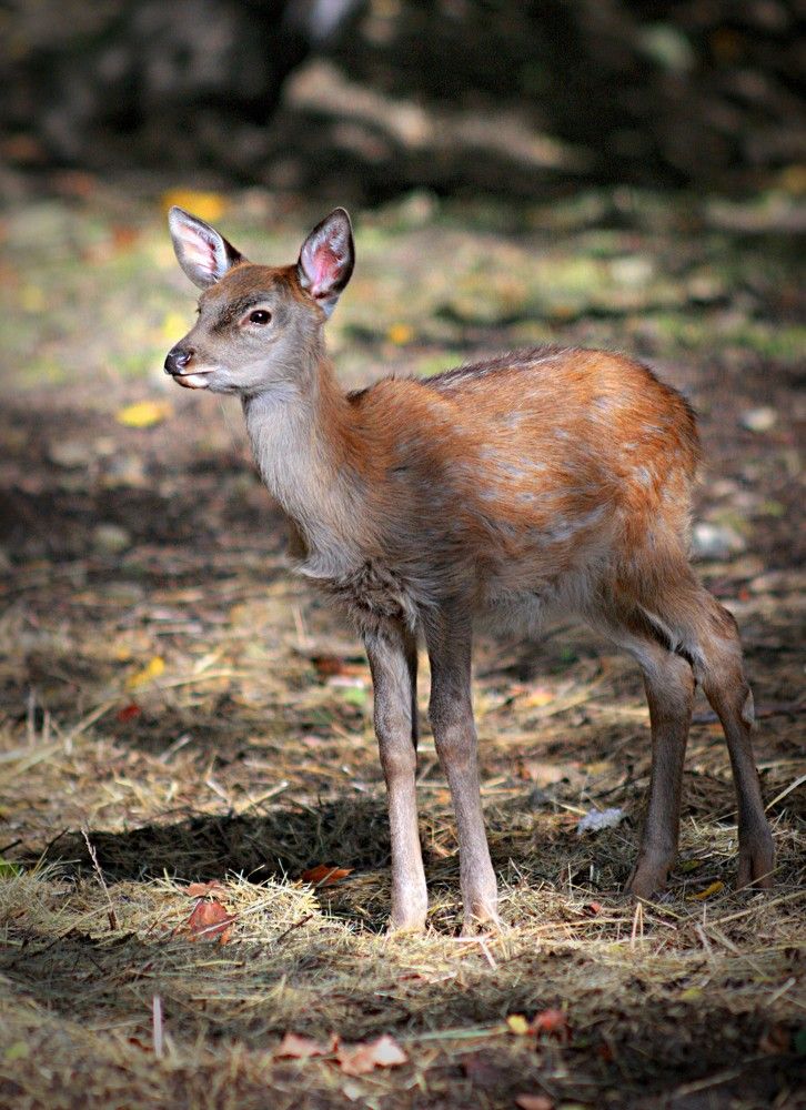 Photograph by Эдуард Попов