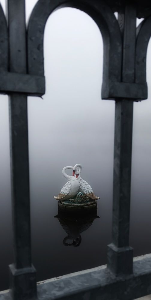 Photograph by Леонид