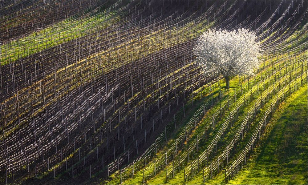 Photograph by Влад Соколовский
