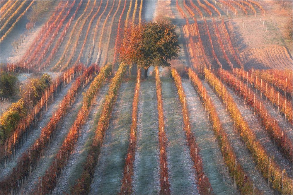 Photograph by Влад Соколовский