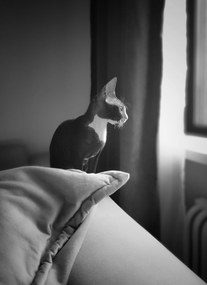 Photograph by Ольга Мартьянова