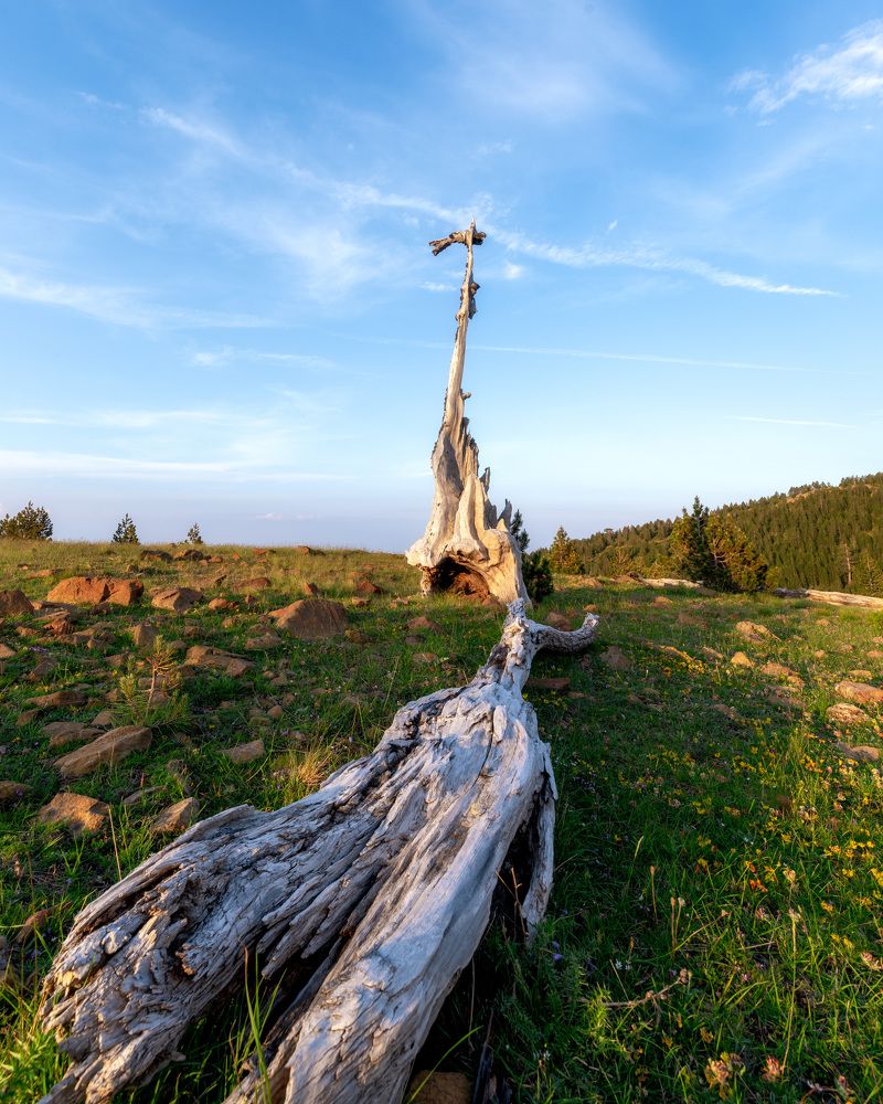 Photograph by Leonov Nikos(Nougzari)