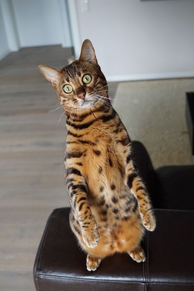 Фотография автора Liudmila Kiermeier