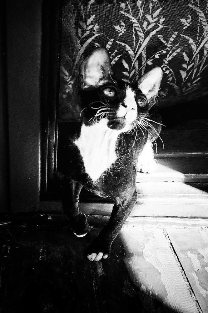 Photograph by Ольга Мартьянова