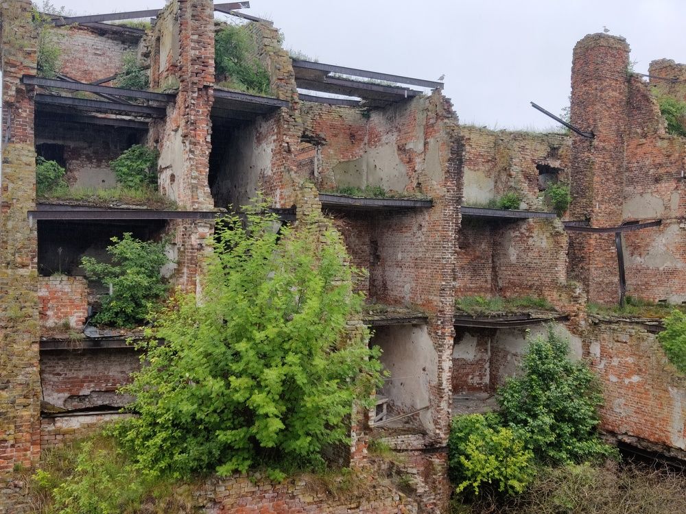 Photograph by Екатерина Тонких