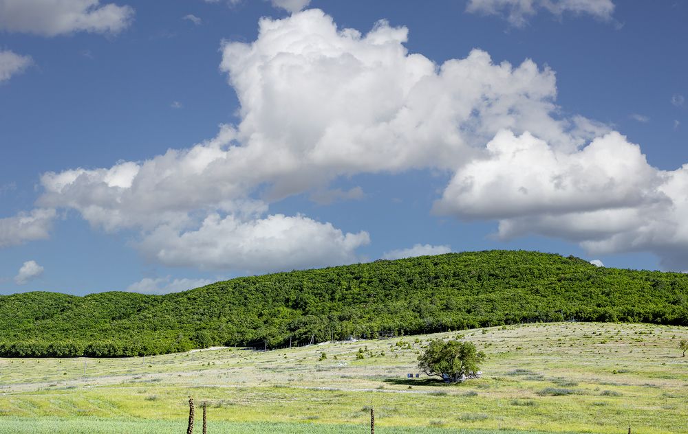 Photograph by Иван Логвинов