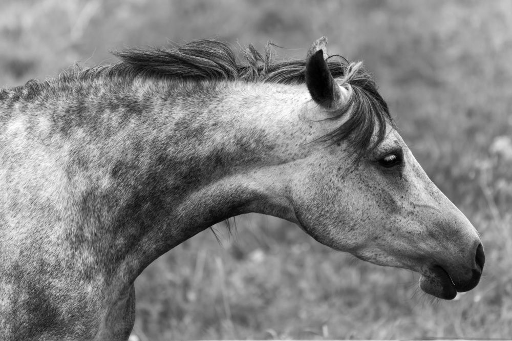 Фотография автора Ruslan Badykov