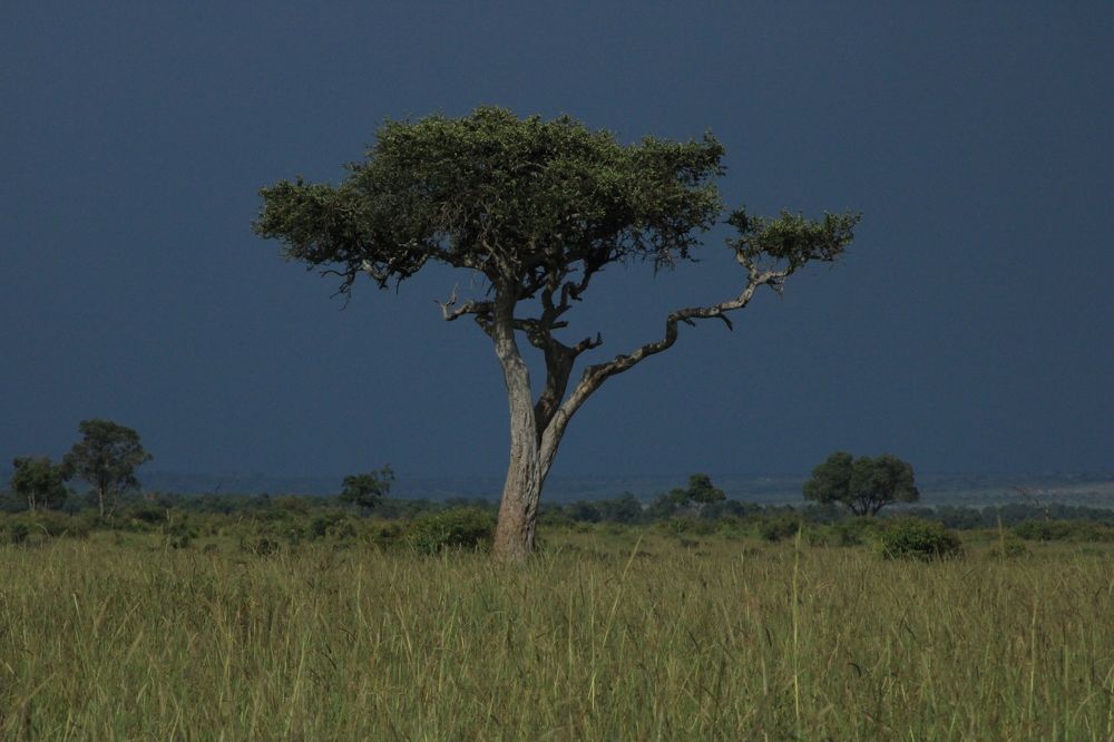 Photograph by Erasti Shish