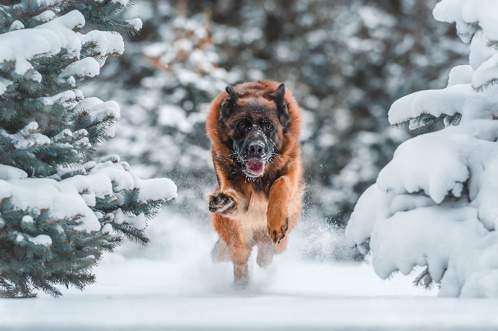 Photograph by Олег Гаричкин