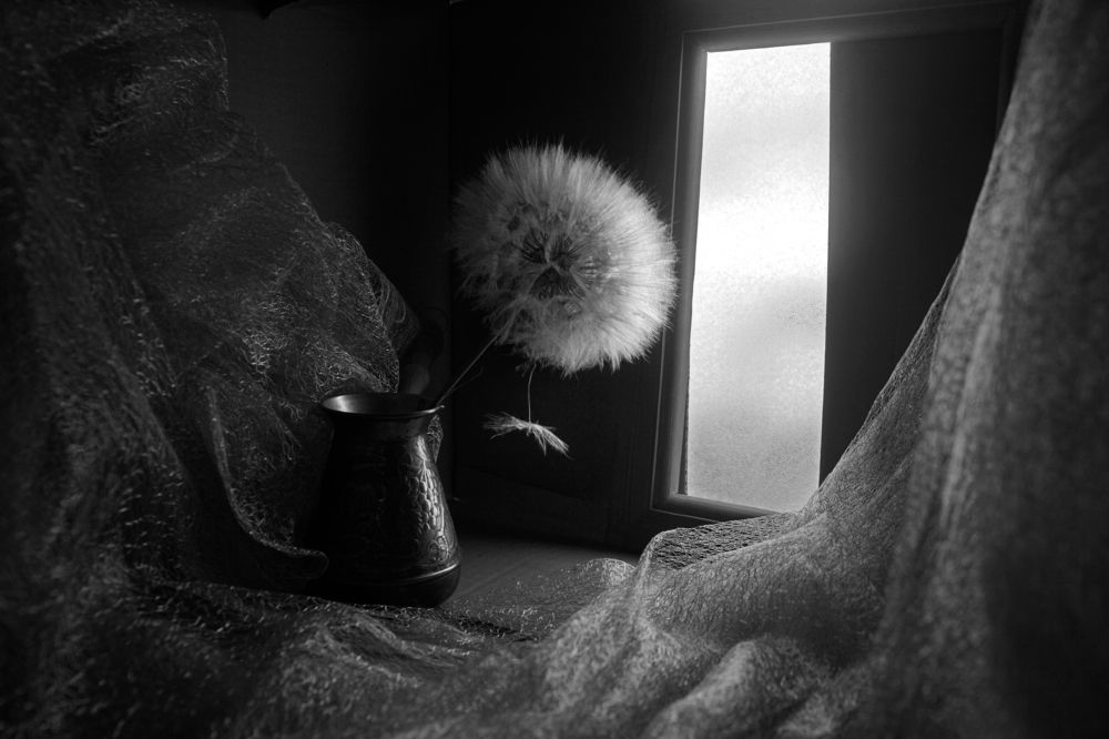 Photograph by Ольга Пуховникова