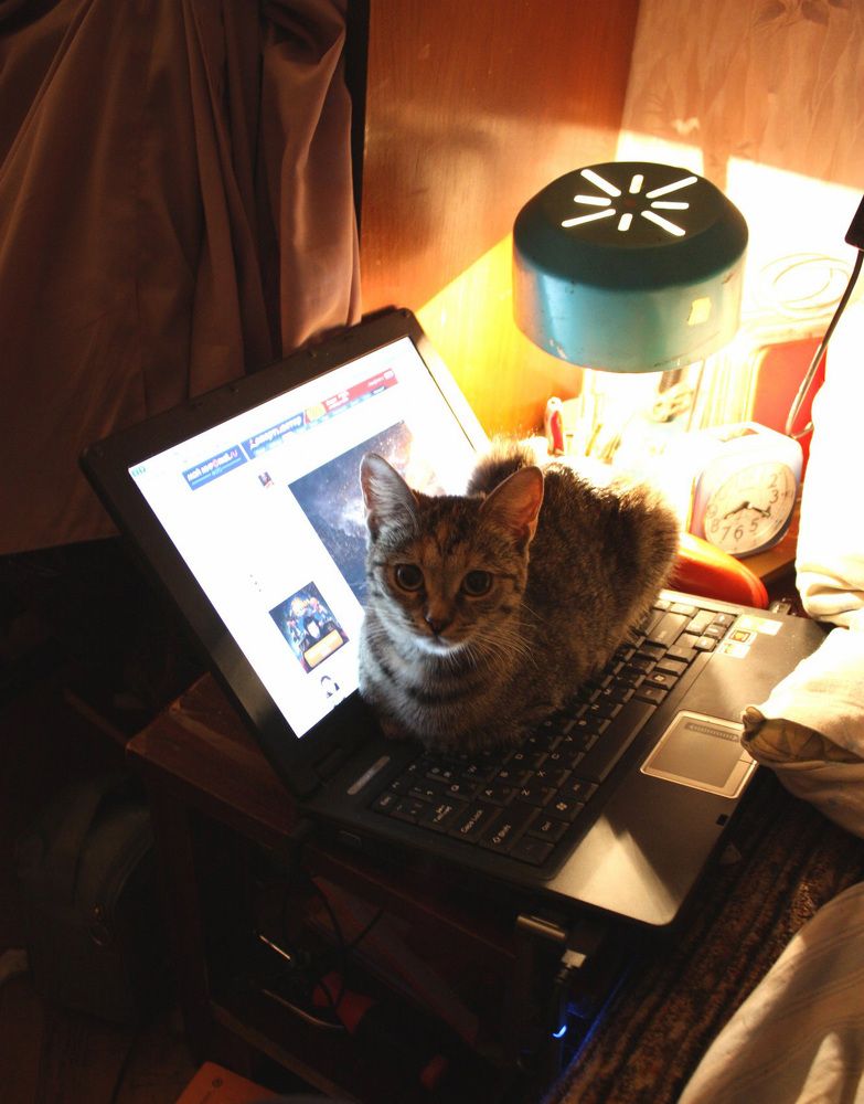 Генератор случайных сочетаний.