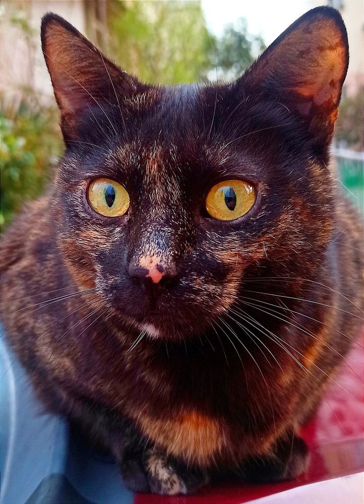 Photograph by Ольга Тихонова