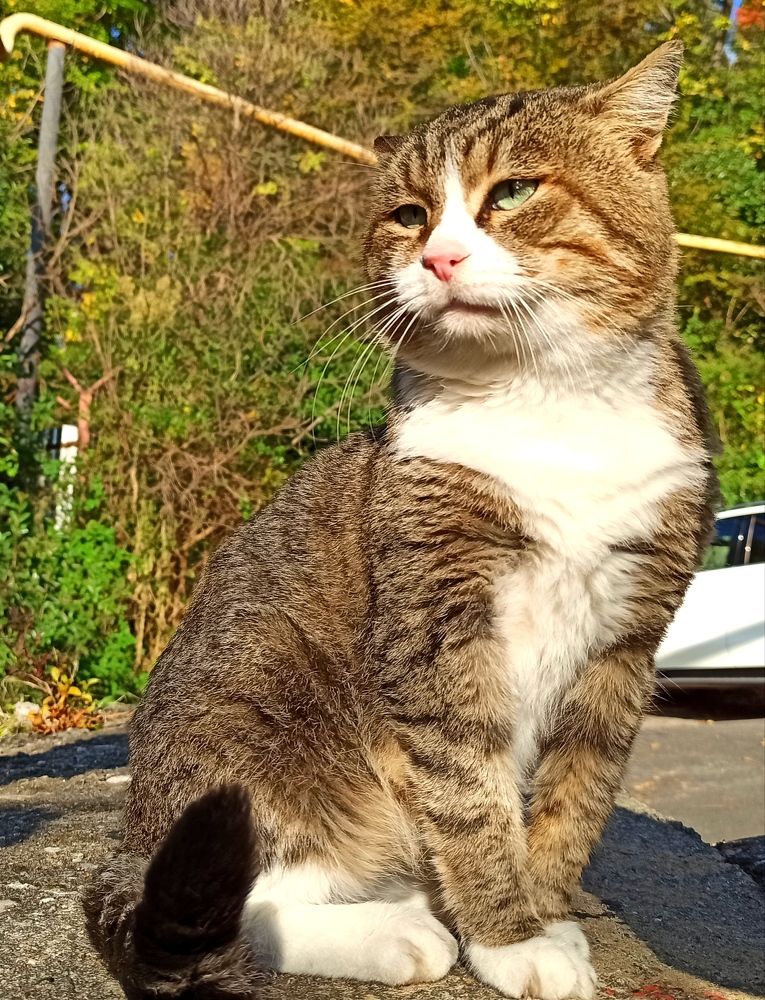 Photograph by Ольга Тихонова