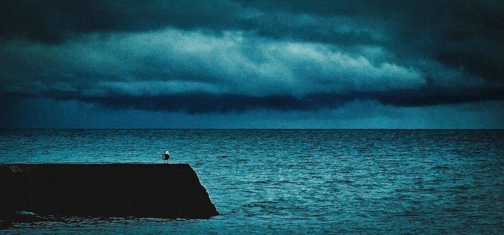 Photograph by mikhail goryachev