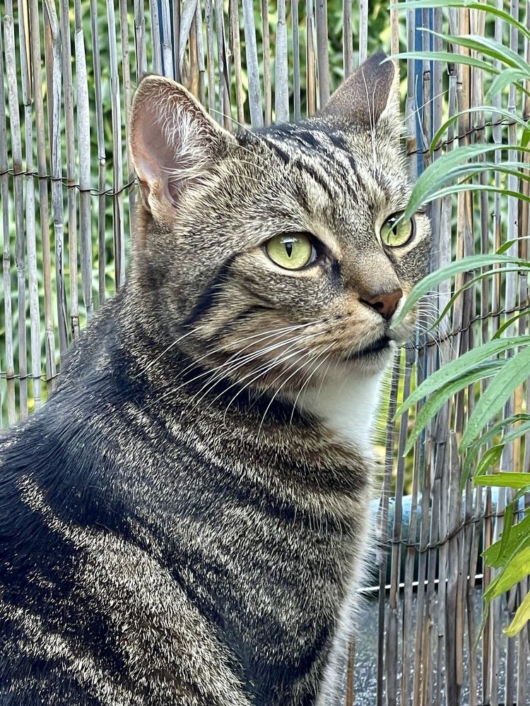 Фотография автора Nadezhda