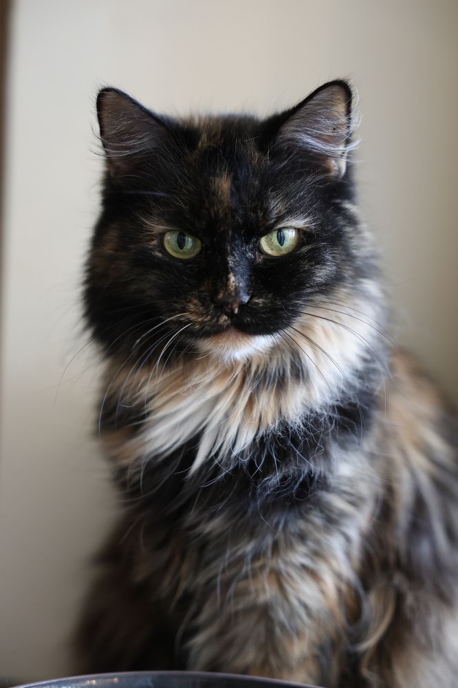 Photograph by Ольга Кириллова