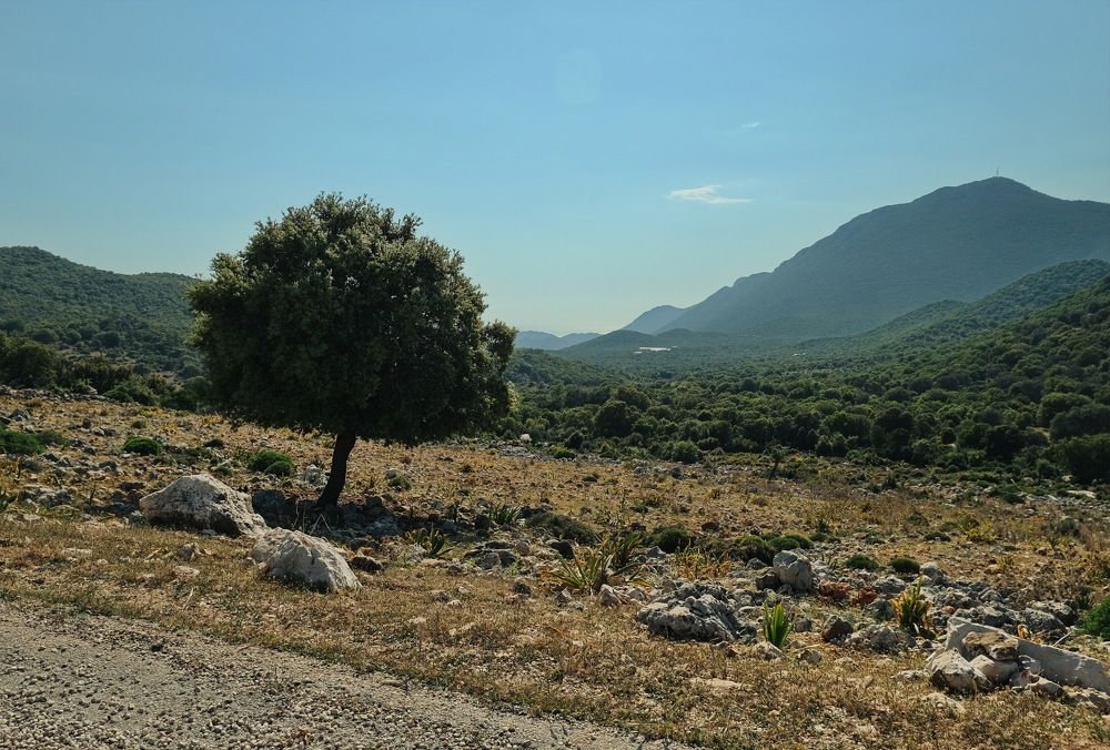 Photograph by Виктор Чернышов