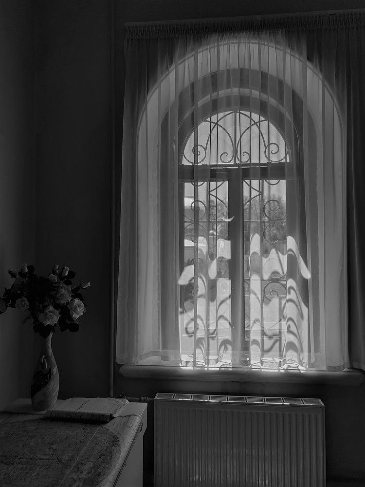 Photograph by Наталья Веряскина