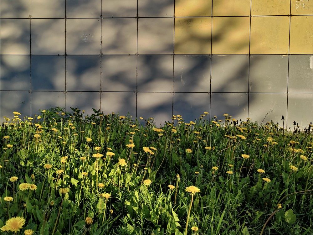 Photograph by Наталья Веряскина