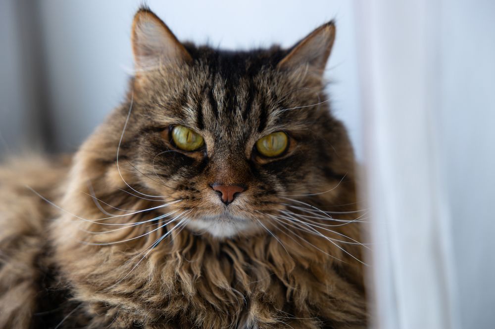 Photograph by Ksenia Sannikova