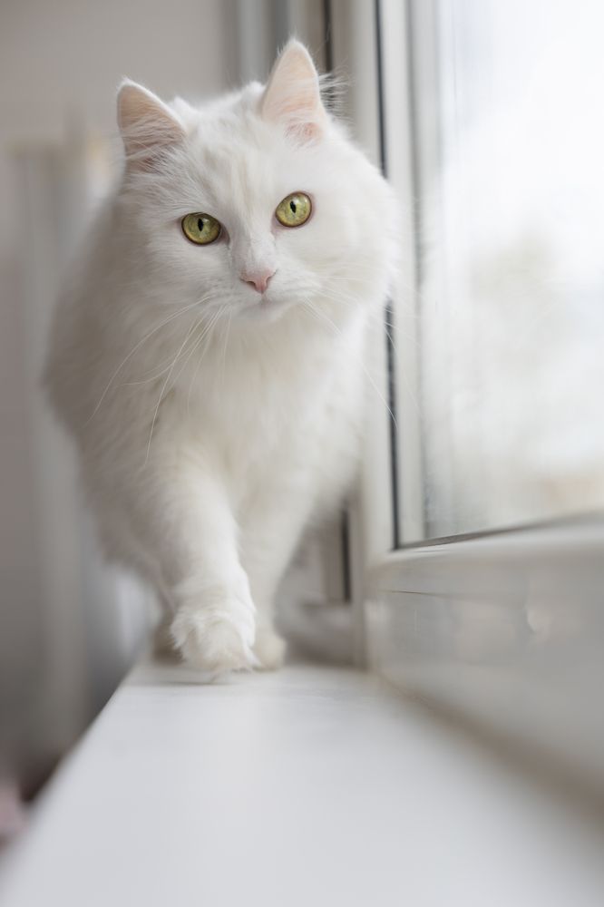 Photograph by Ksenia Sannikova