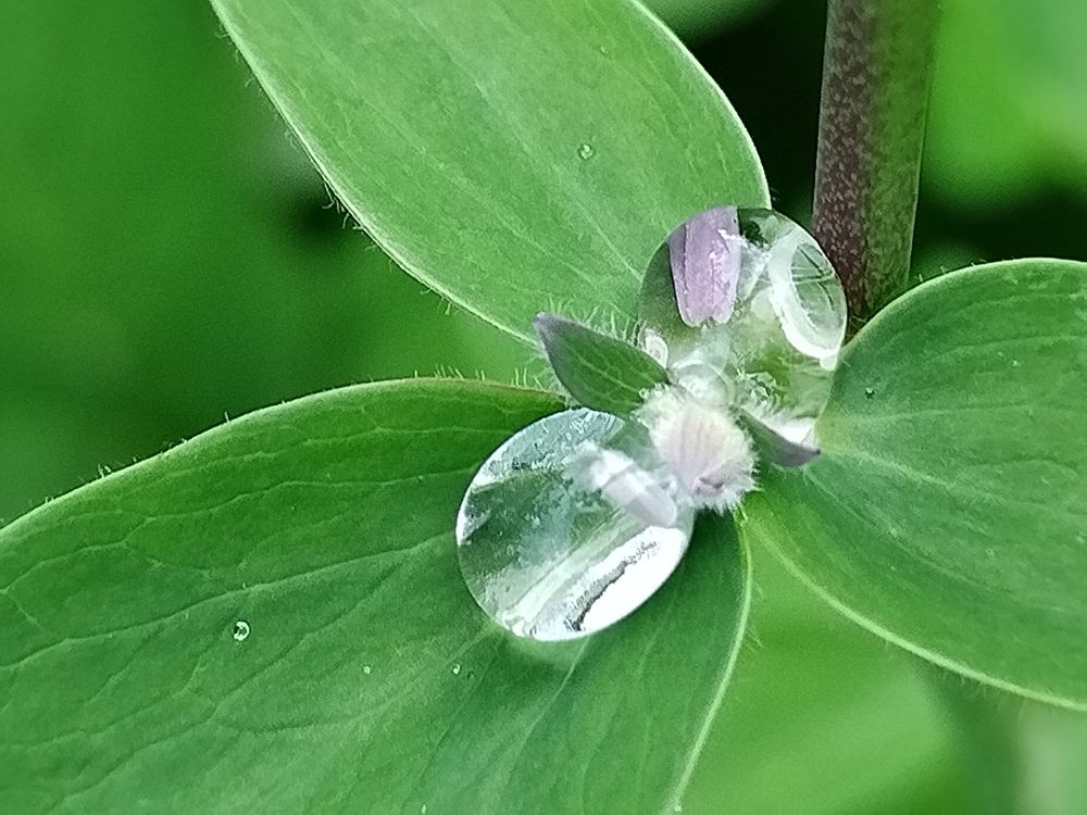 Photograph by Татьяна