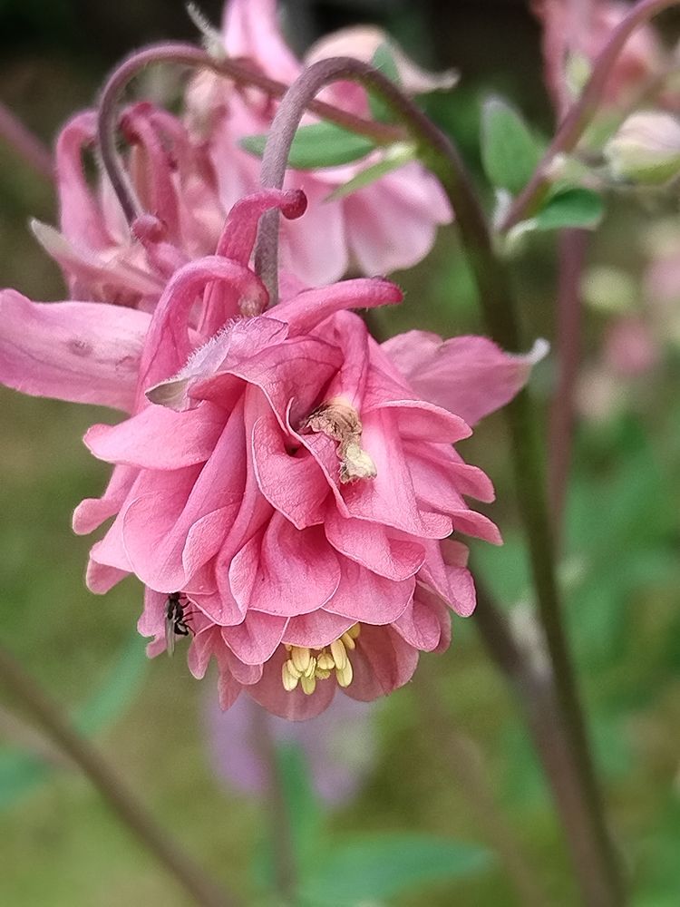 Photograph by Татьяна