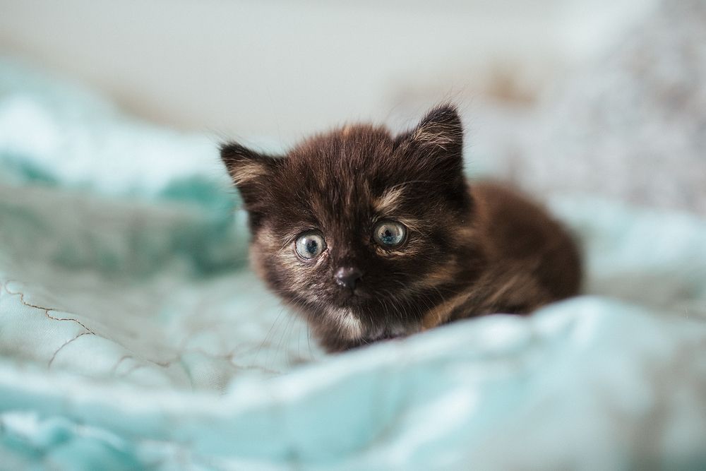 Photograph by Дзюба Нелли