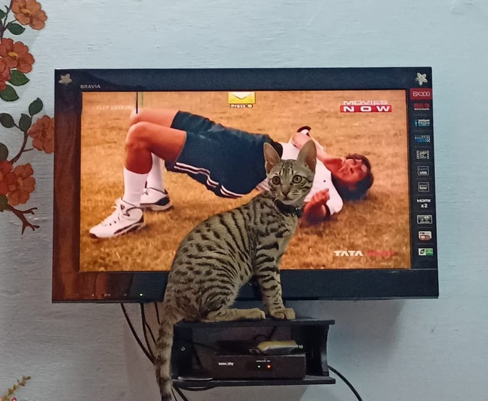 Photograph by Rubina Hasan