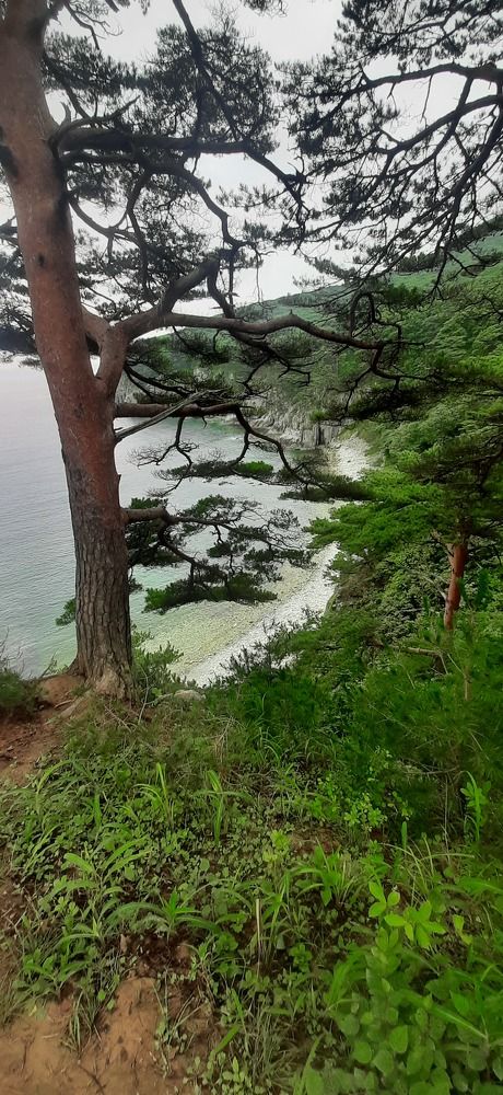 Photograph by Кирилл Грачев