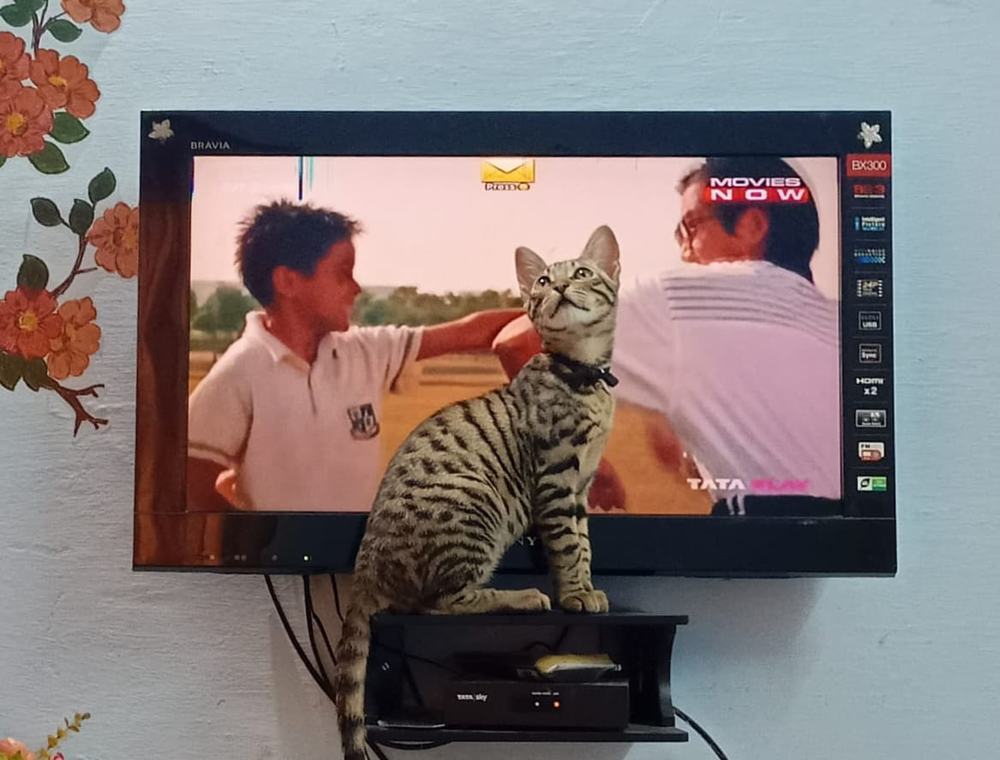 Photograph by Rubina Hasan