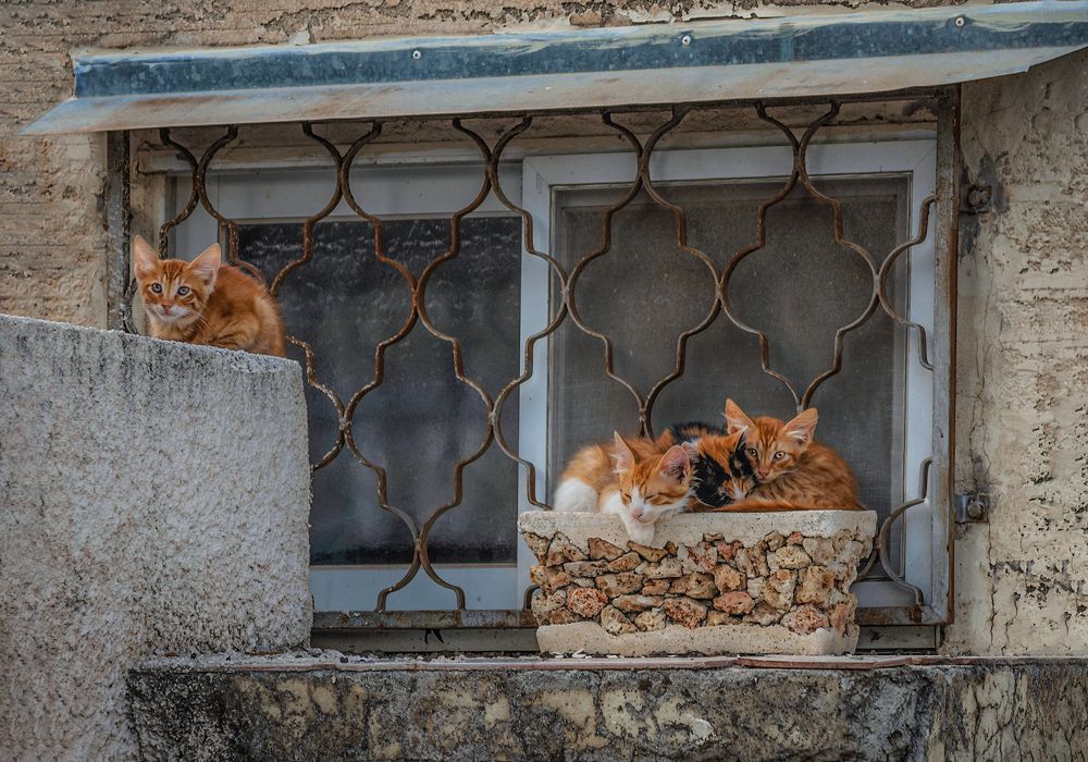 Photograph by Марина Ческис