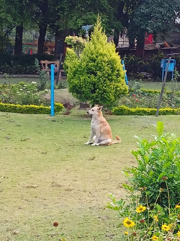 Photograph by Rubina Hasan