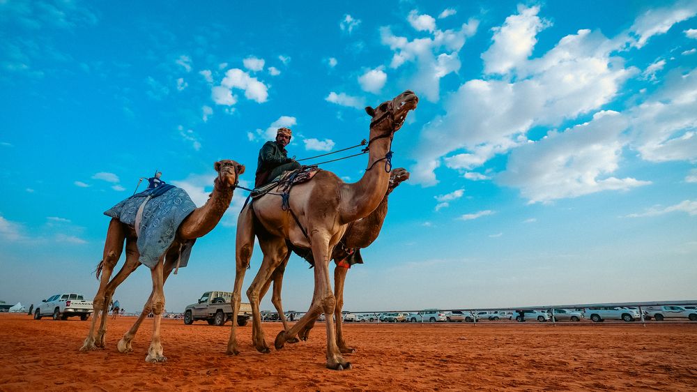 Photograph by Mohamed Osman