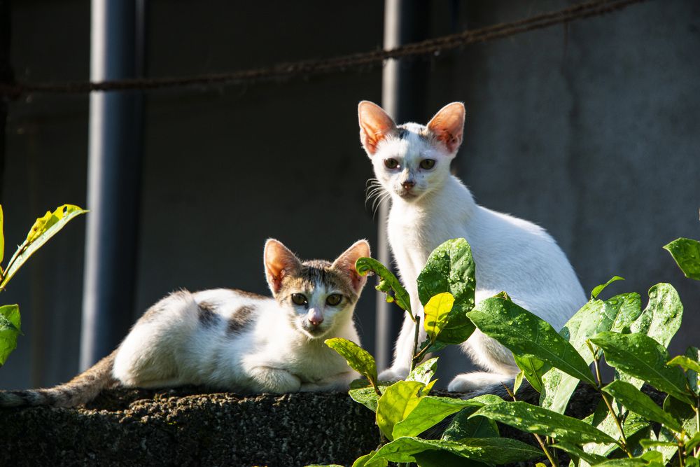 Photograph by Дмитрий Юдин