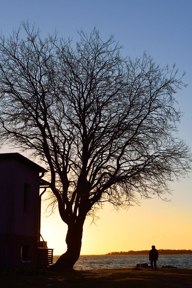 Photograph by Valeriya