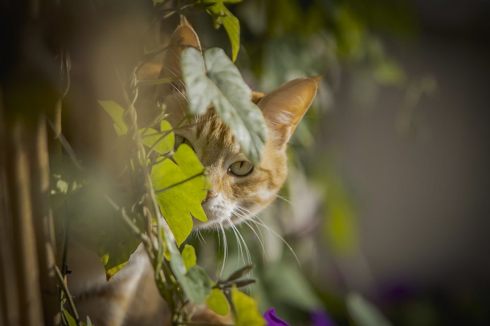 Photograph by Katja Sen