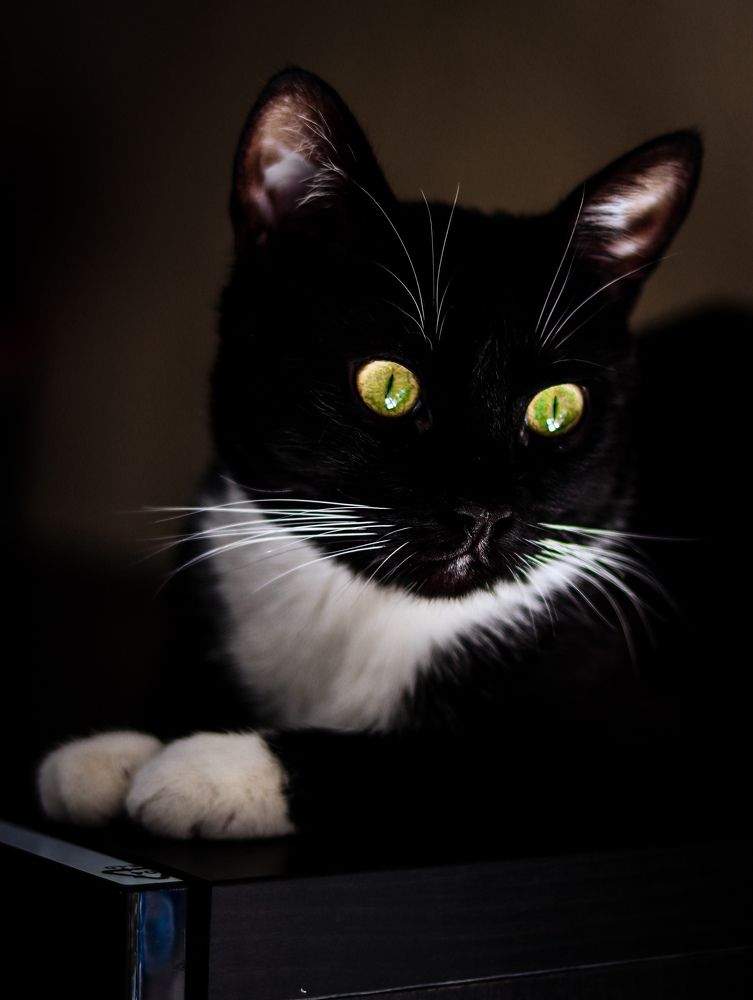 Photograph by Irina Sorokoletova