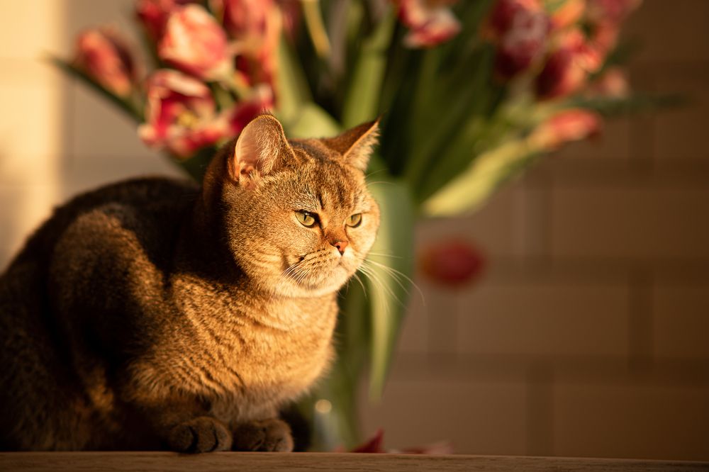 Photograph by Алла Аюпова