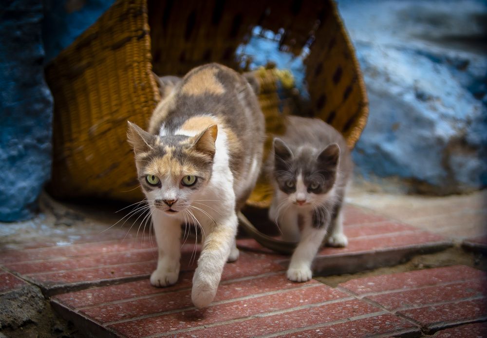 Photograph by Katja Sen