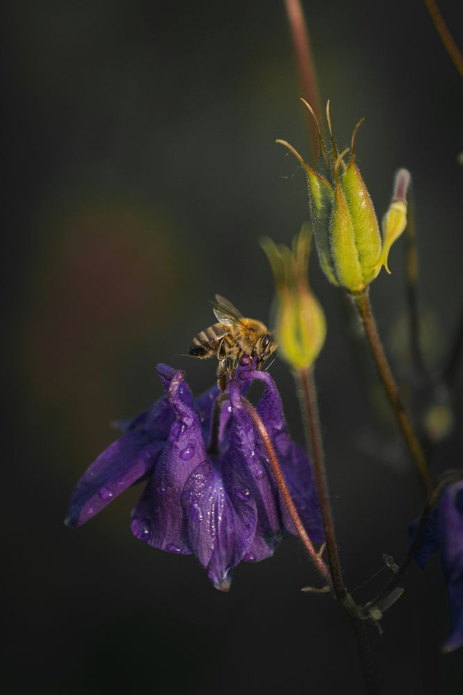 Photograph by Roman Savitskiy