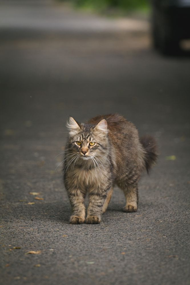 Photograph by Roman Savitskiy